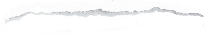 Ripped Paper Line Texture